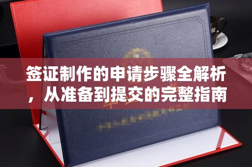 武鸣签证制作的申请步骤全解析，从准备到提交的完整指南