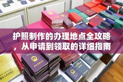 武鸣护照制作的办理地点全攻略，从申请到领取的详细指南