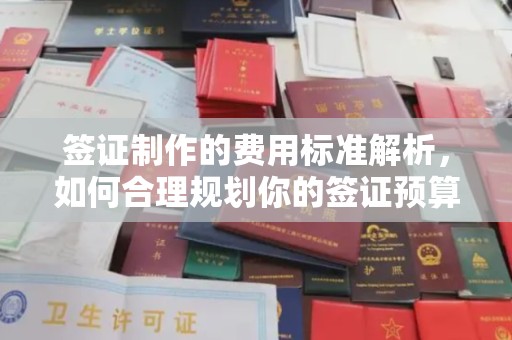 武鸣签证制作的费用标准解析，如何合理规划你的签证预算