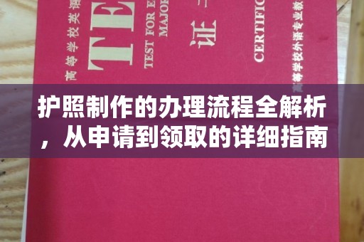 武鸣护照制作的办理流程全解析，从申请到领取的详细指南