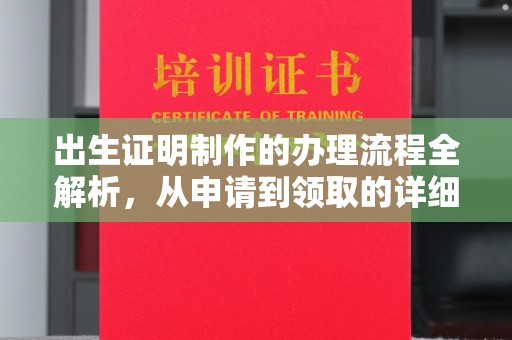 武鸣出生证明制作的办理流程全解析，从申请到领取的详细指南